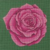 Tickled Pink Rose - Needlepoint Tapestry Canvas